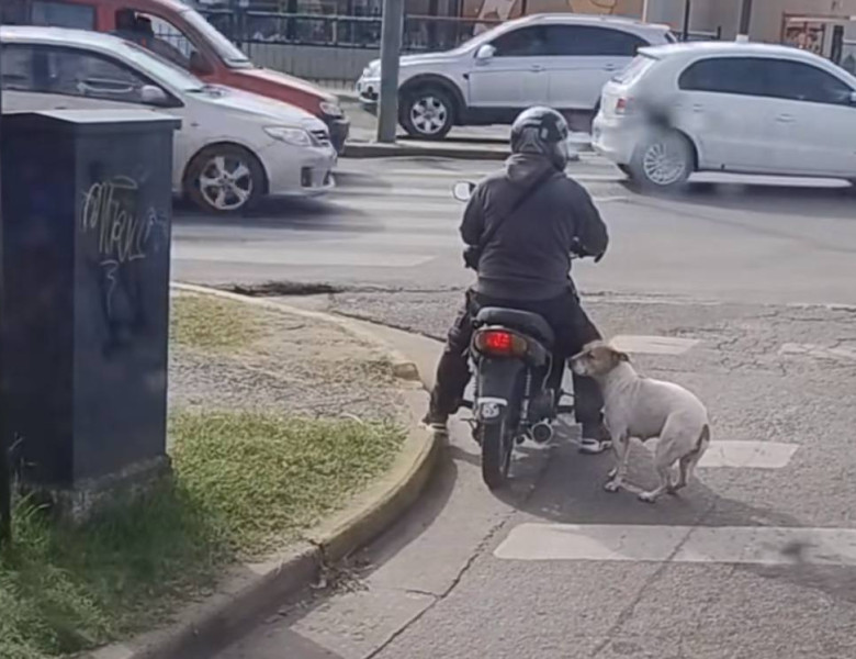 Ce a pățit un bărbat care aștepta la semafor pe un scuter/ Foto: Captură video TikTok