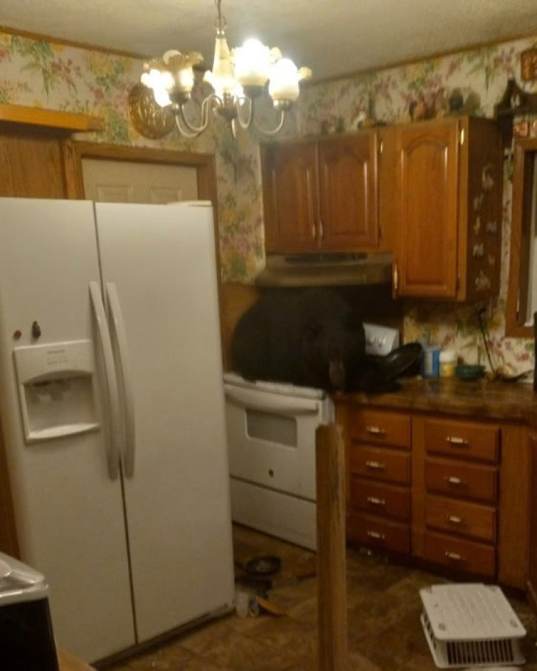 Momentul când un urs cade prin tavanul unei case din Kentucky/ Foto: Facebook