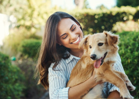 Cum îți dai seama că patrupedul tău are un accident vascular cerebral/ Shutterstock