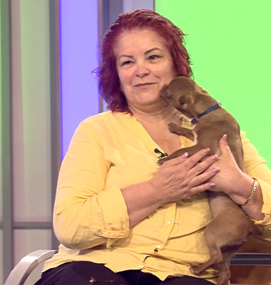 DAC CHIHUAHUA 4