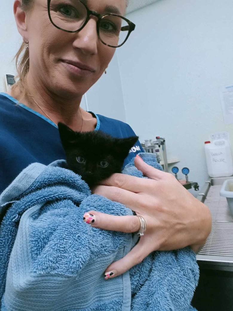 Gestul făcut de un medic veterinar pentru 100 de pisici abandonate/ Profimedia