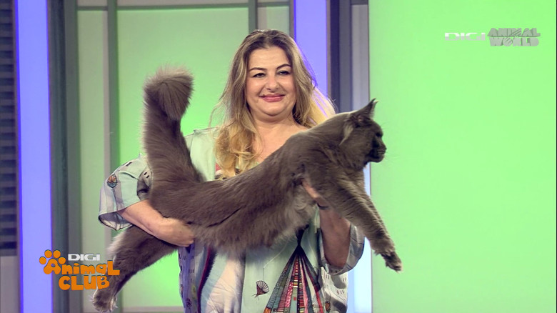 DAC Gina Vlad 7