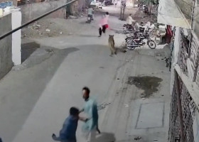 Momentul câMomentul când un leu de companie a evadat și a atacat o mamă și doi copii/ Foto: Captură videond un leu de companie a evadat și a atacat o mamă și doi copii