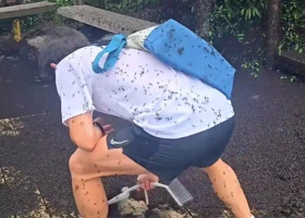 Țara în care turiștii sunt „atacați” de insecte/ Foto: Instagram