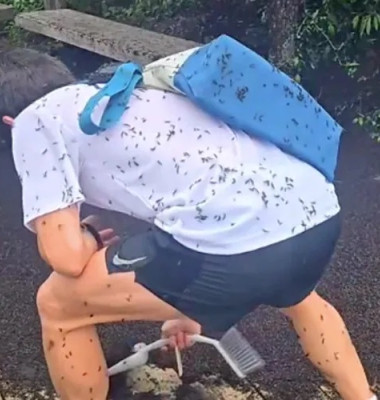 Țara în care turiștii sunt „atacați” de insecte/ Foto: Instagram