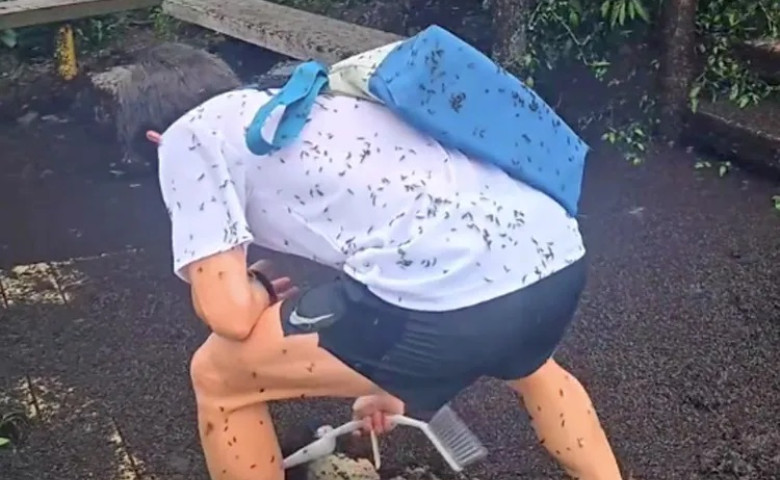 Țara în care turiștii sunt „atacați” de insecte/ Foto: Instagram