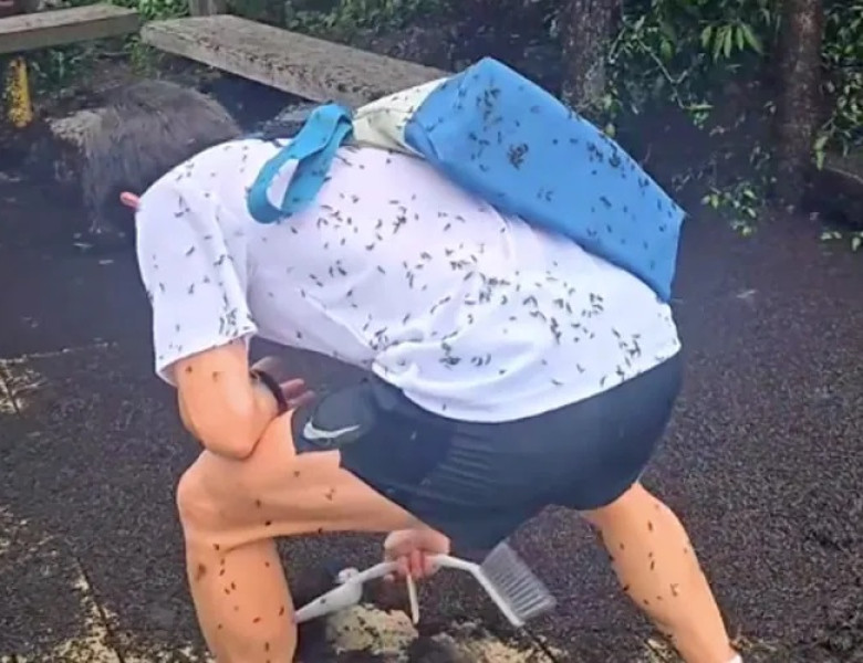 Țara în care turiștii sunt „atacați” de insecte/ Foto: Instagram