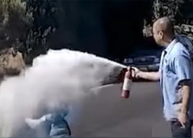 Momentul când o femeie este atacată de un roi de albine/ Foto: Captură video