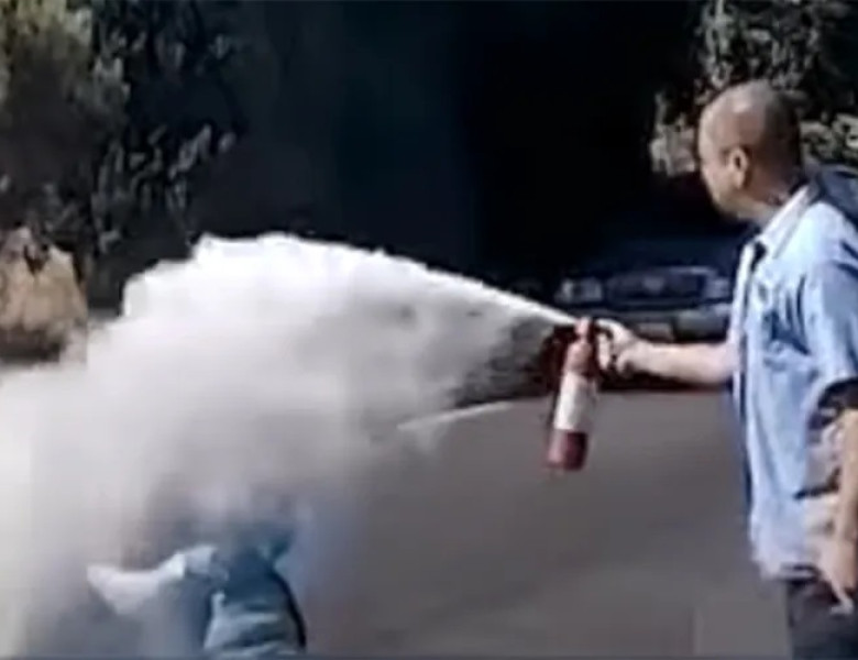 Momentul când o femeie este atacată de un roi de albine/ Foto: Captură video
