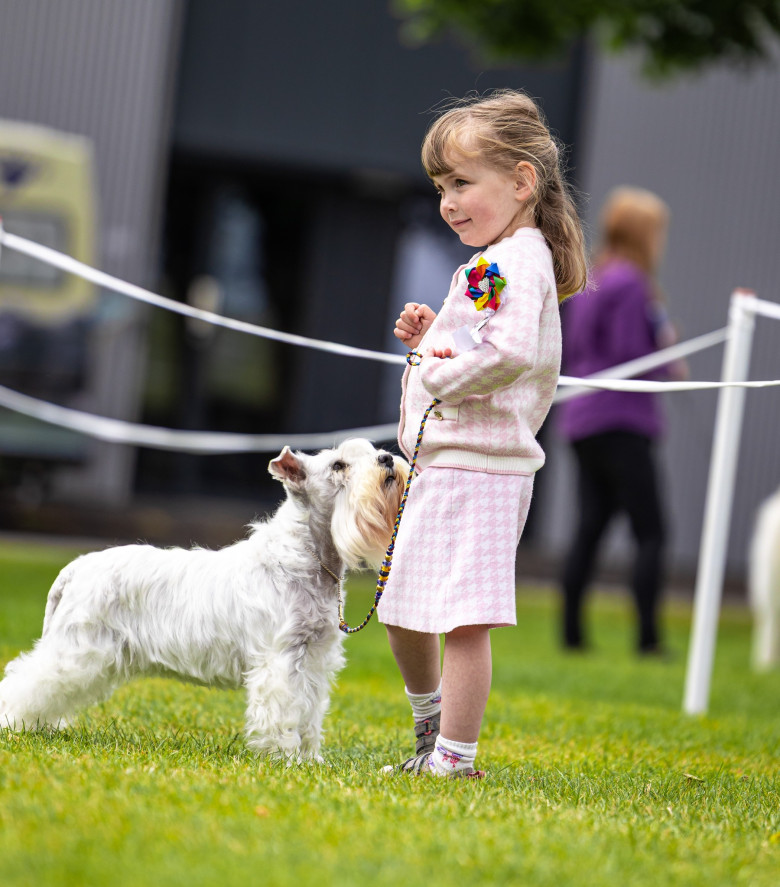 Caitlyn Mellor/ Foto: Facebook: Lyzahro Schnauzers