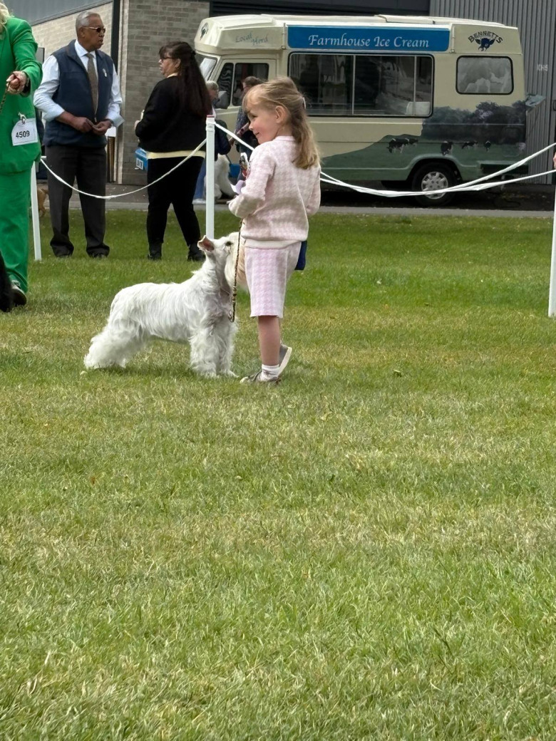 Caitlyn Mellor/ Foto: Facebook: Lyzahro Schnauzers