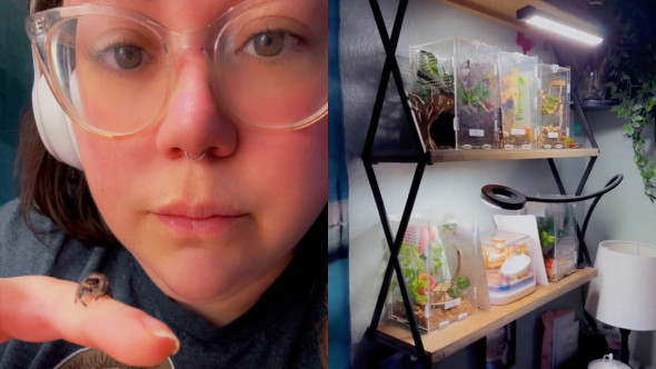 Și-a transformat fobia în artă. O femeie care se temea de păianjeni le construiește acum case în miniatură