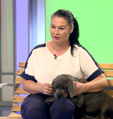 DAC CANE CORSO