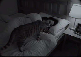 Gestul făcut de o pisică în timp ce stăpâna ei doarme/ Foto: Captură video TikTok