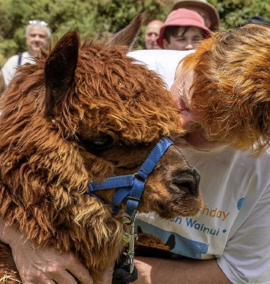 Cea mai bătrână alpaca din lume/ Foto: Instagram