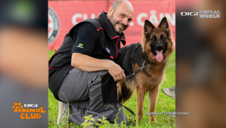 DAC URGENTE VETERINARE 9