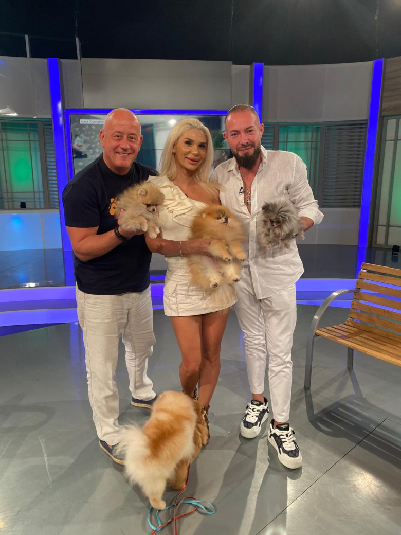 DAC POMERANIAN