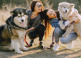Cele mai bune rase de câini pentru primul tău animal de companie/ Freepik