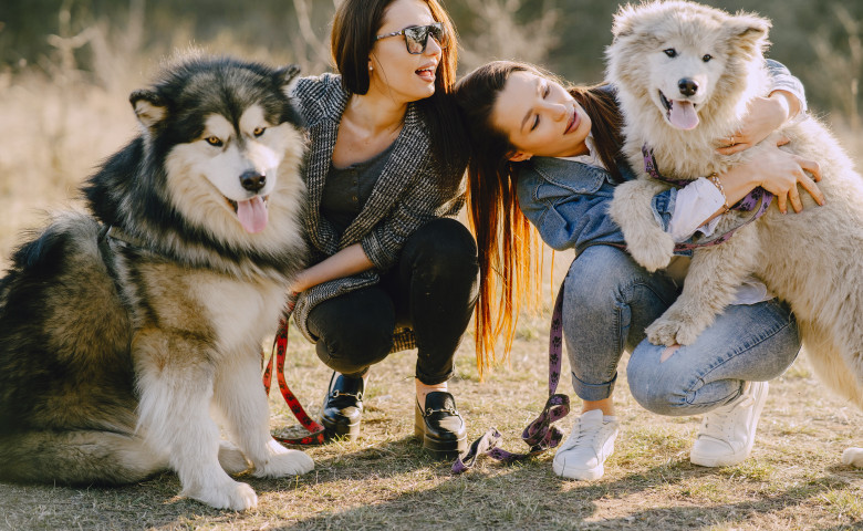 Cele mai bune rase de câini pentru primul tău animal de companie/ Freepik