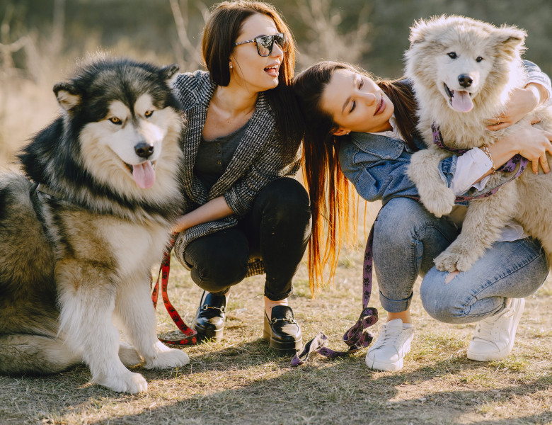 Cele mai bune rase de câini pentru primul tău animal de companie/ Freepik