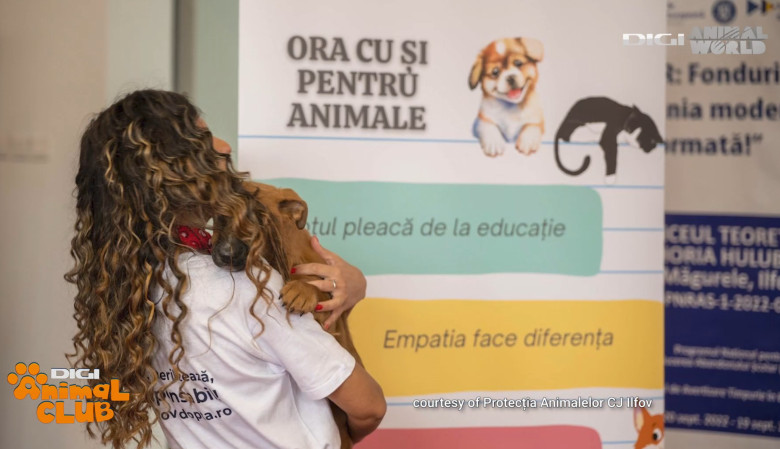 DAC Protectia Animalelor IF 3