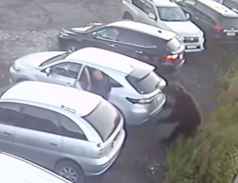 Momentul când un bărbat este atacat de un urs într-o parcare/ Foto: Captură video