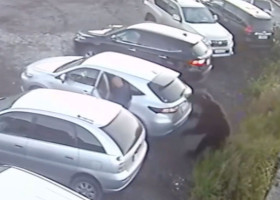 Momentul când un bărbat este atacat de un urs într-o parcare/ Foto: Captură video