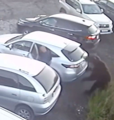 Momentul când un bărbat este atacat de un urs într-o parcare/ Foto: Captură video