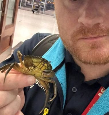 Un crab viu, surprins într-un tren din Anglia/ Foto: Instagram