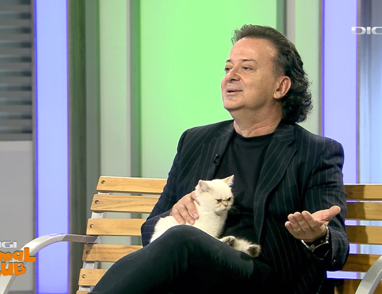 DAC FIFE WORLD SHOW 7