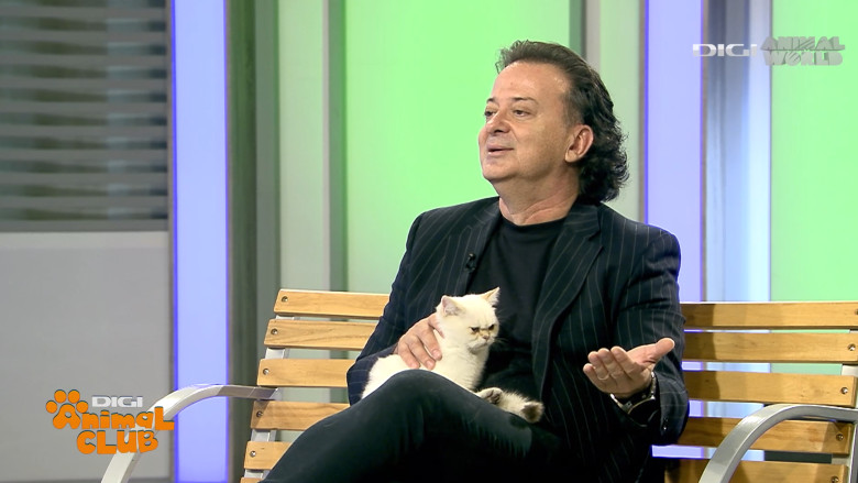 DAC FIFE WORLD SHOW 7