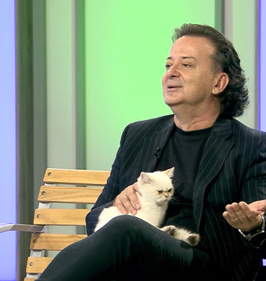 DAC FIFE WORLD SHOW 7