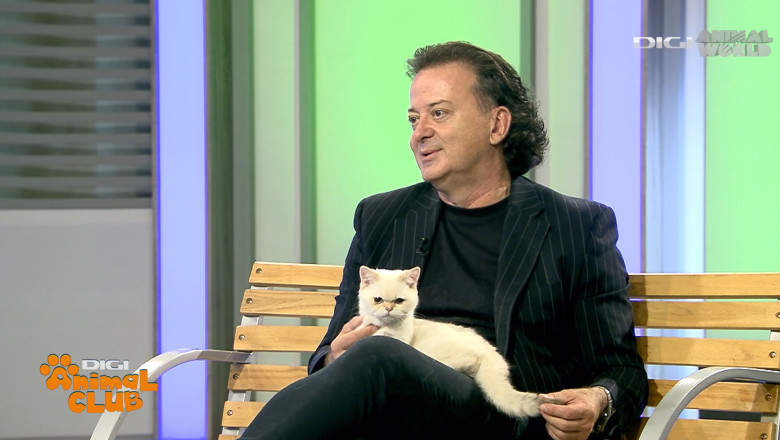 DAC FIFE WORLD SHOW 1