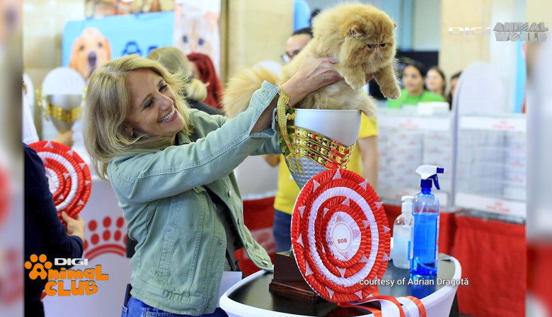 DAC FIFE WORLD SHOW 8