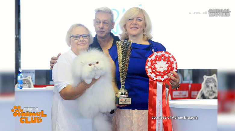 DAC FIFE WORLD SHOW 12