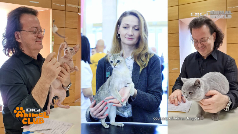 DAC FIFE WORLD SHOW 14