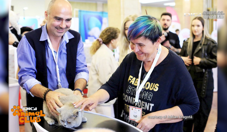 DAC FIFE WORLD SHOW 15