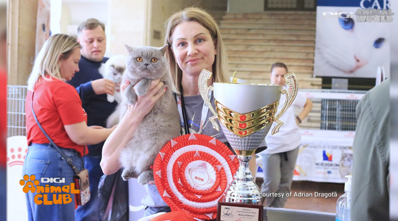 DAC FIFE WORLD SHOW 18
