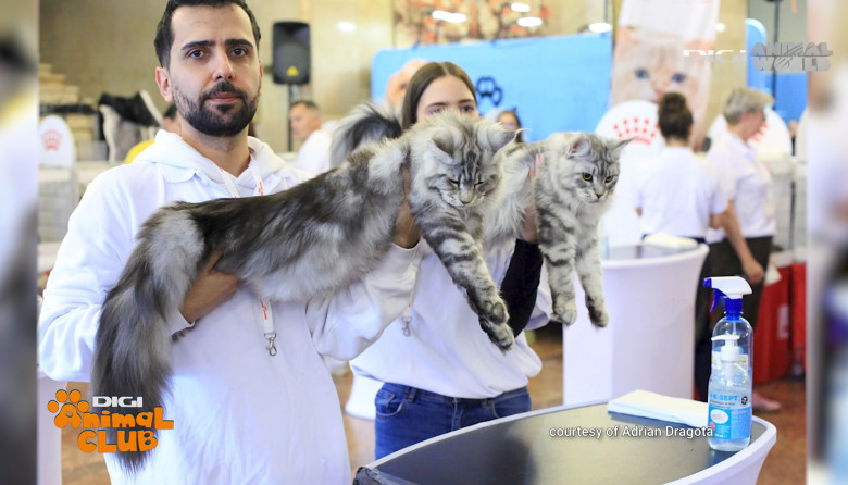 DAC FIFE WORLD SHOW 20