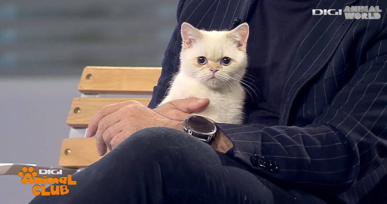 DAC FIFE WORLD SHOW 21