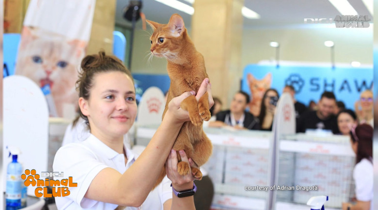 DAC FIFE WORLD SHOW 22