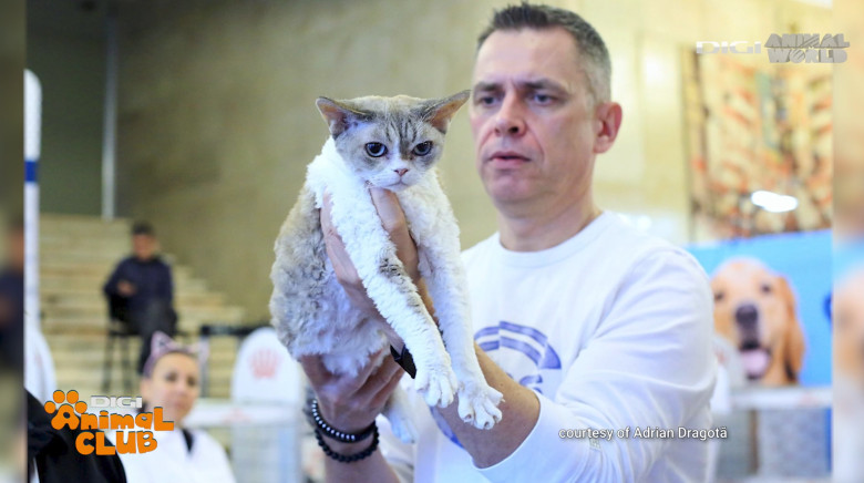 DAC FIFE WORLD SHOW 24