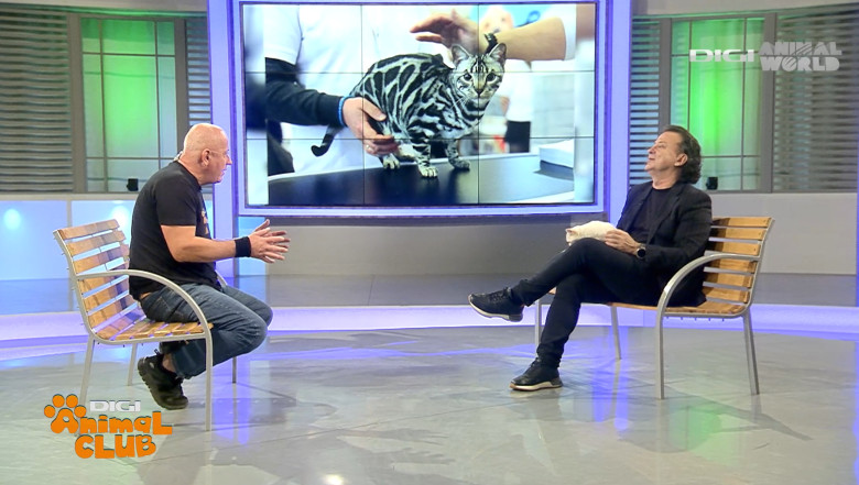 DAC FIFE WORLD SHOW 26