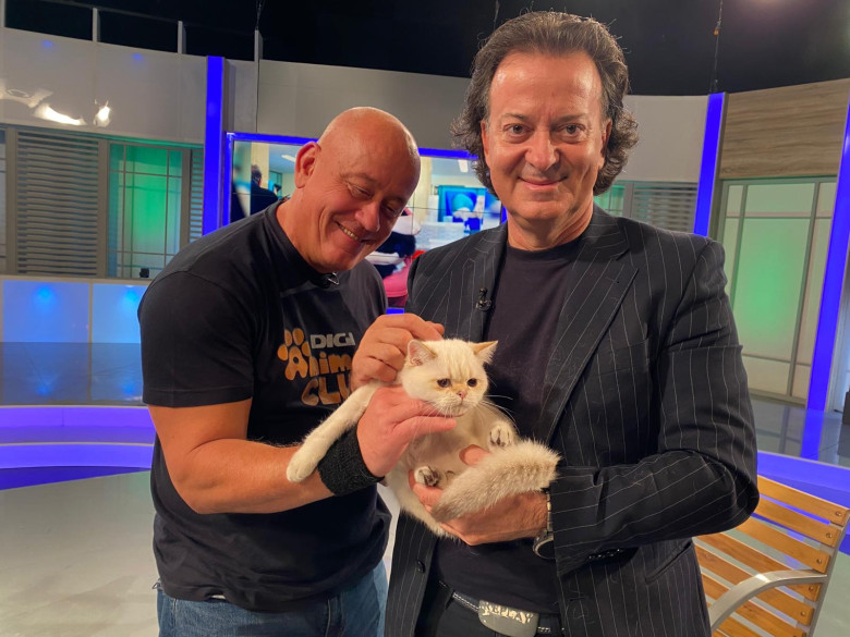 DAC FIFE WORLD SHOWd 0