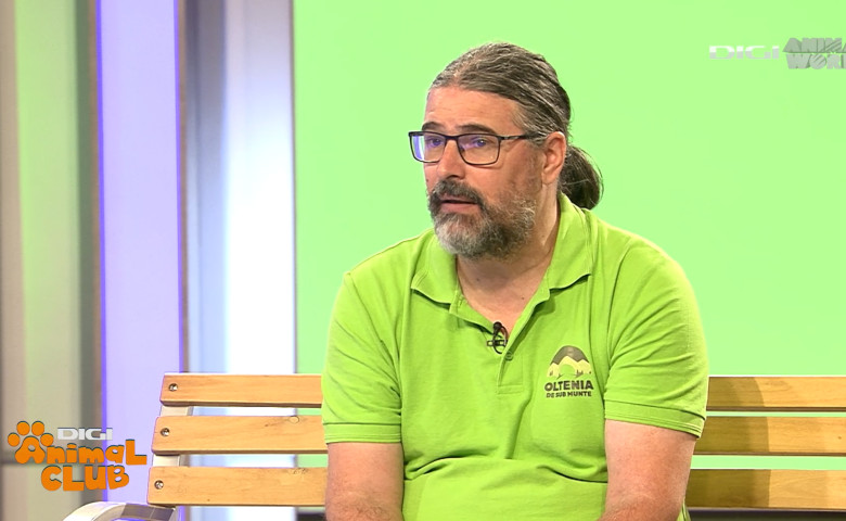 DAC REZERVATII Florin Stoican 7
