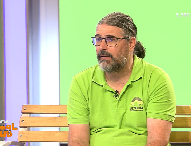 DAC REZERVATII Florin Stoican 7