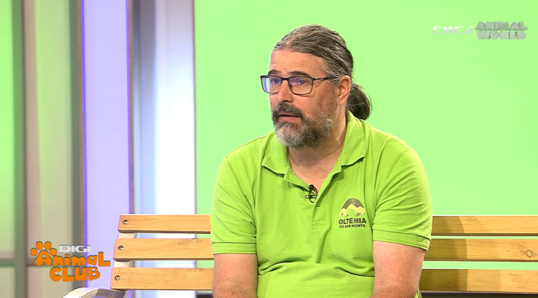 DAC REZERVATII Florin Stoican 7