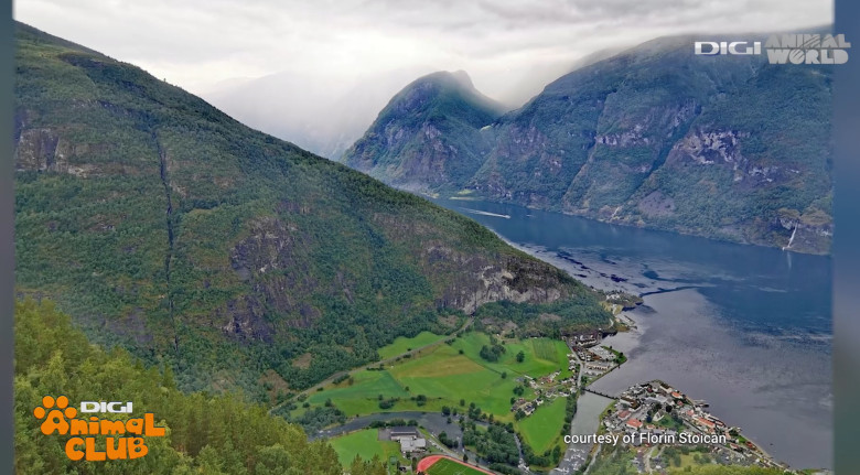 DAC REZERVATII Florin Stoican 5- Norvegia