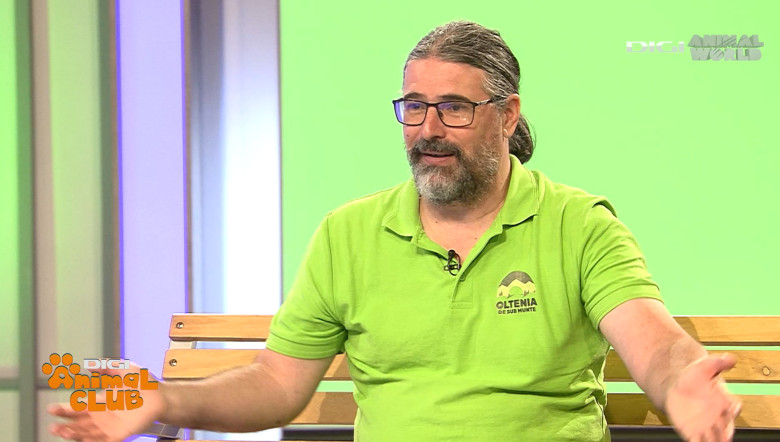 DAC REZERVATII Florin Stoican