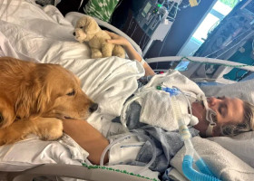 O femeie în comă s-a trezit după ce un câine i-a atins mâna/ Foto: Facebook Memorial Hospital West